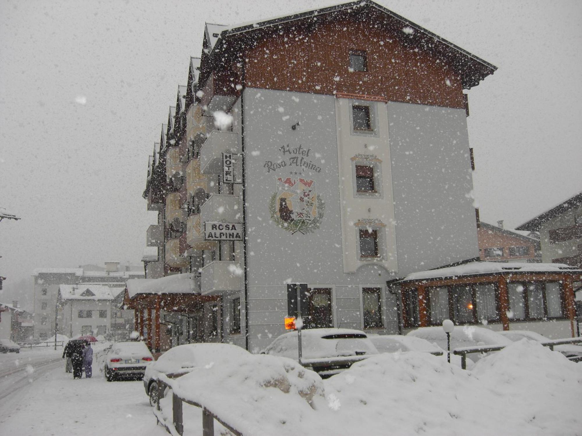Hotel Rosa Alpina Andalo Bagian luar foto